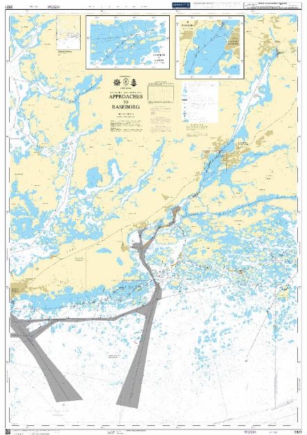 BA 3821 - Approaches to Raseborg